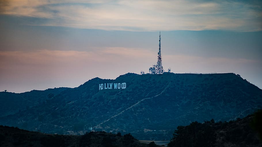 Holly Wood on mountain, photo of Hollywood signage, mountain side HD wallpaper