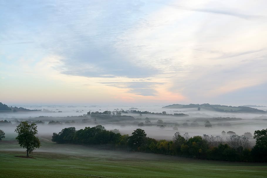 terrain covered by mist photo, green tress under cloudy sky during daytime HD wallpaper