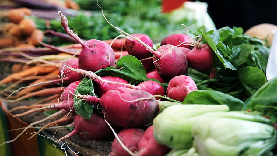 red raddish on table, shallow focus photography of vegetables HD wallpaper