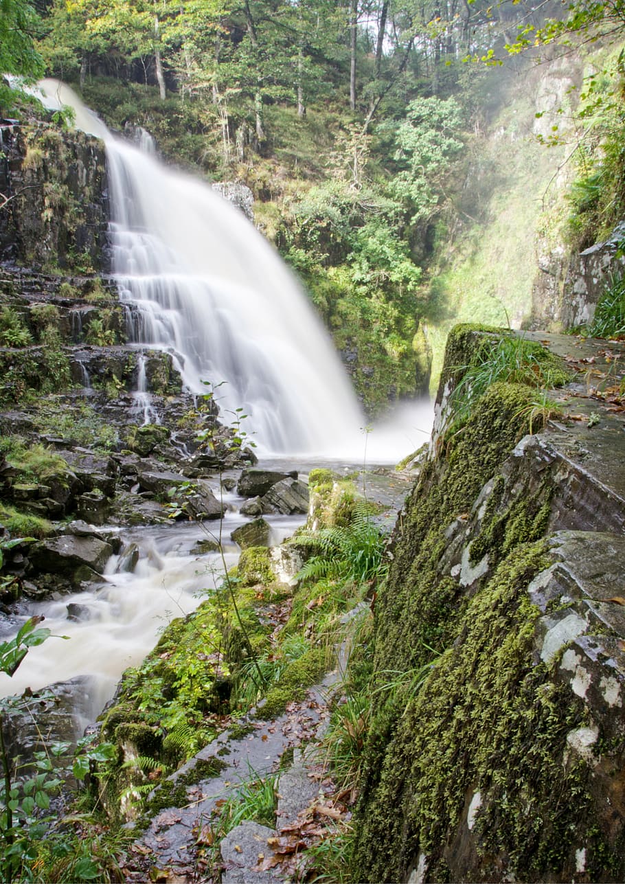 waterfall, forest, cascade, stream, nature, water background HD wallpaper