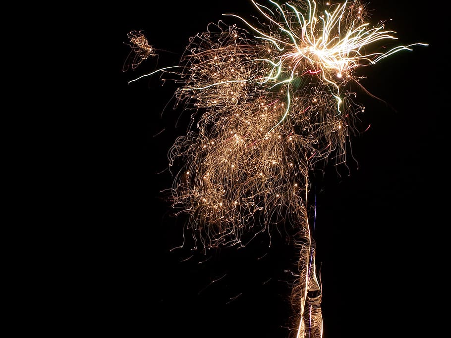 Firework, Night, Light, Dark, Bonfire, thanksgiving, celebrate HD wallpaper