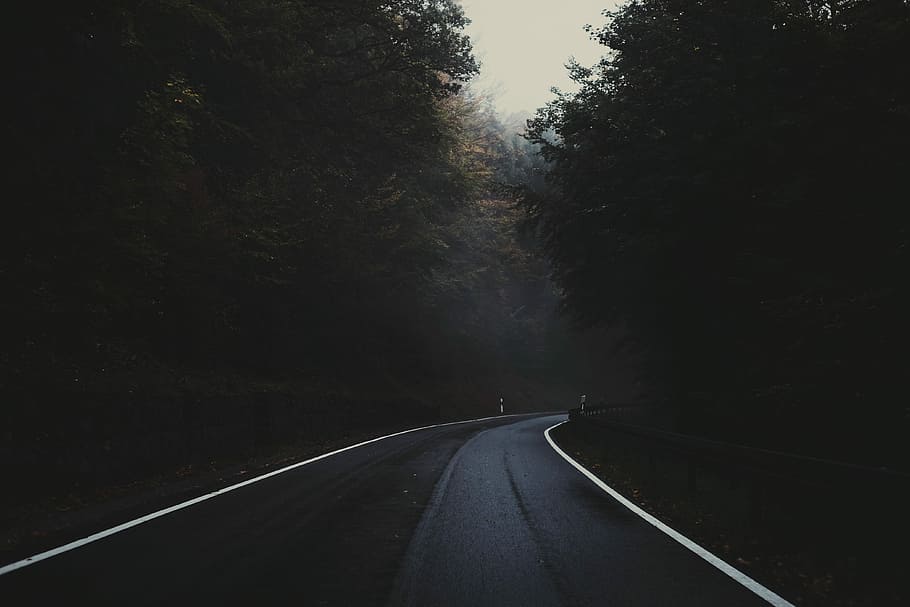 landscape photo of asphalt road, curved road in between trees at daytime HD wallpaper