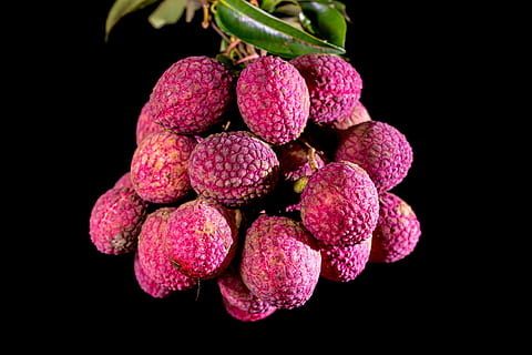 oval red fruits, lychee, tropical, black background, studio shot HD wallpaper
