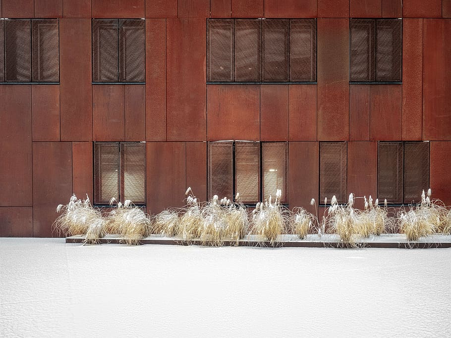 facade, modern, architecture, building, window, home, university HD wallpaper