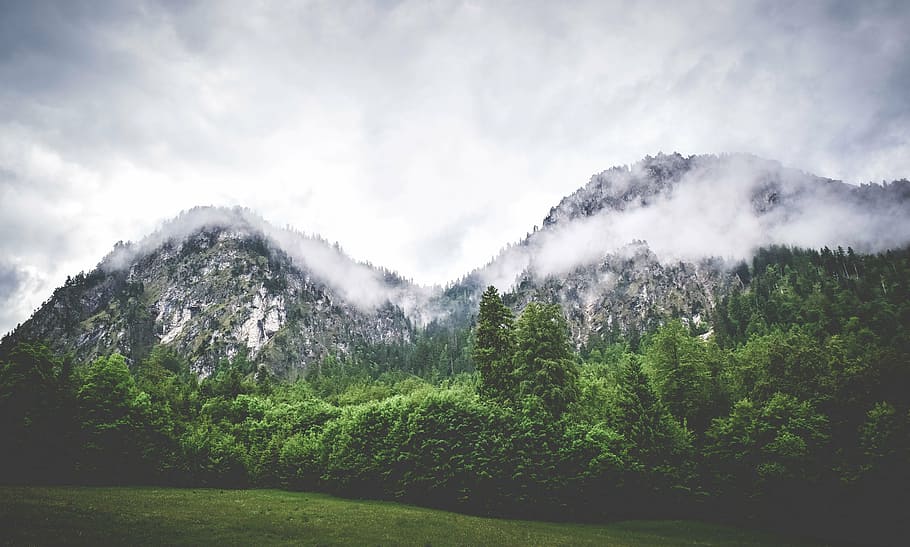 landscape photo of a green trees, photography, mountains, valley HD wallpaper