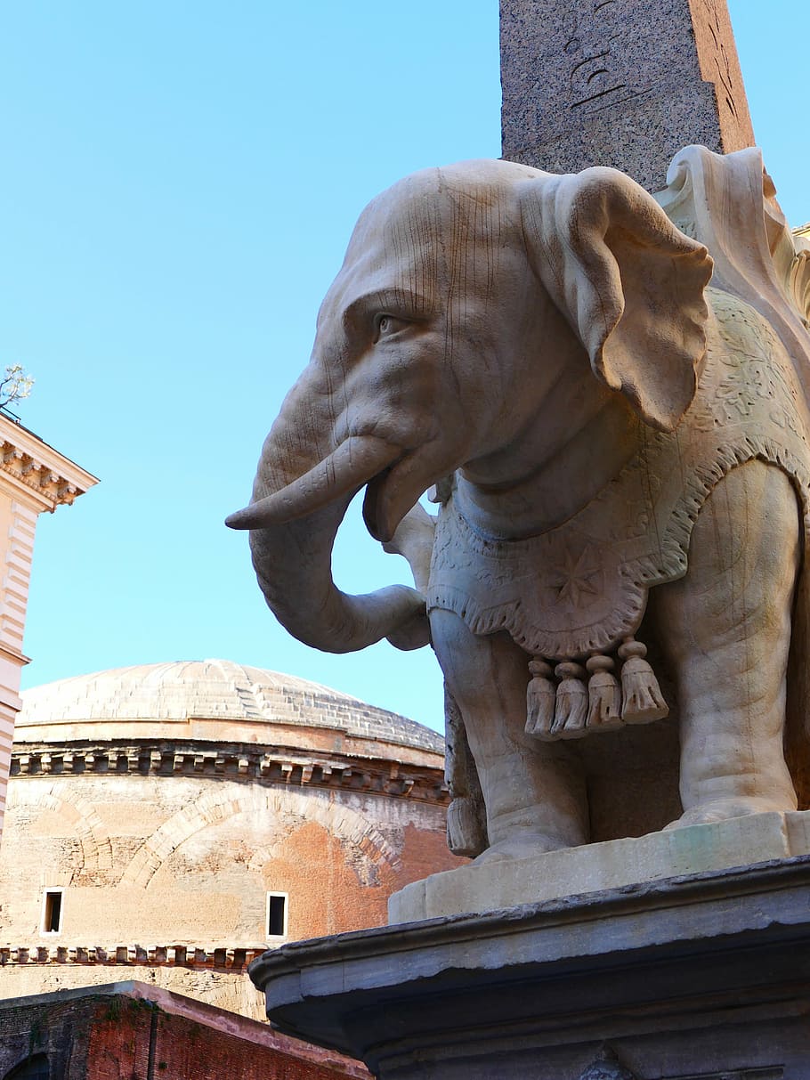 elephant, bernini, rome, proboscis, sculpture, stone figure HD wallpaper
