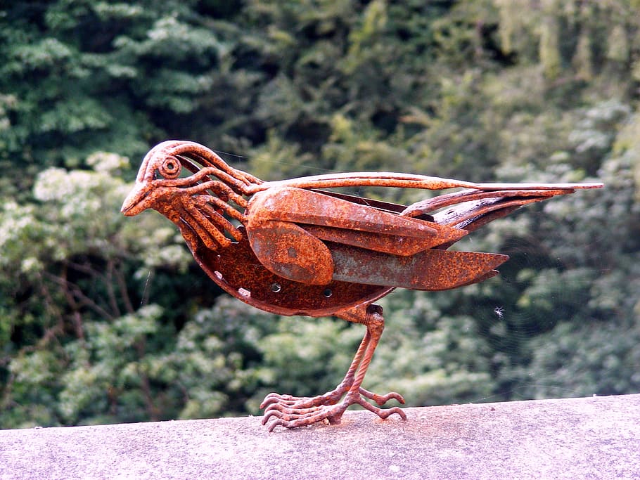 close up photography of red bird figurine, sculpture, wall HD wallpaper
