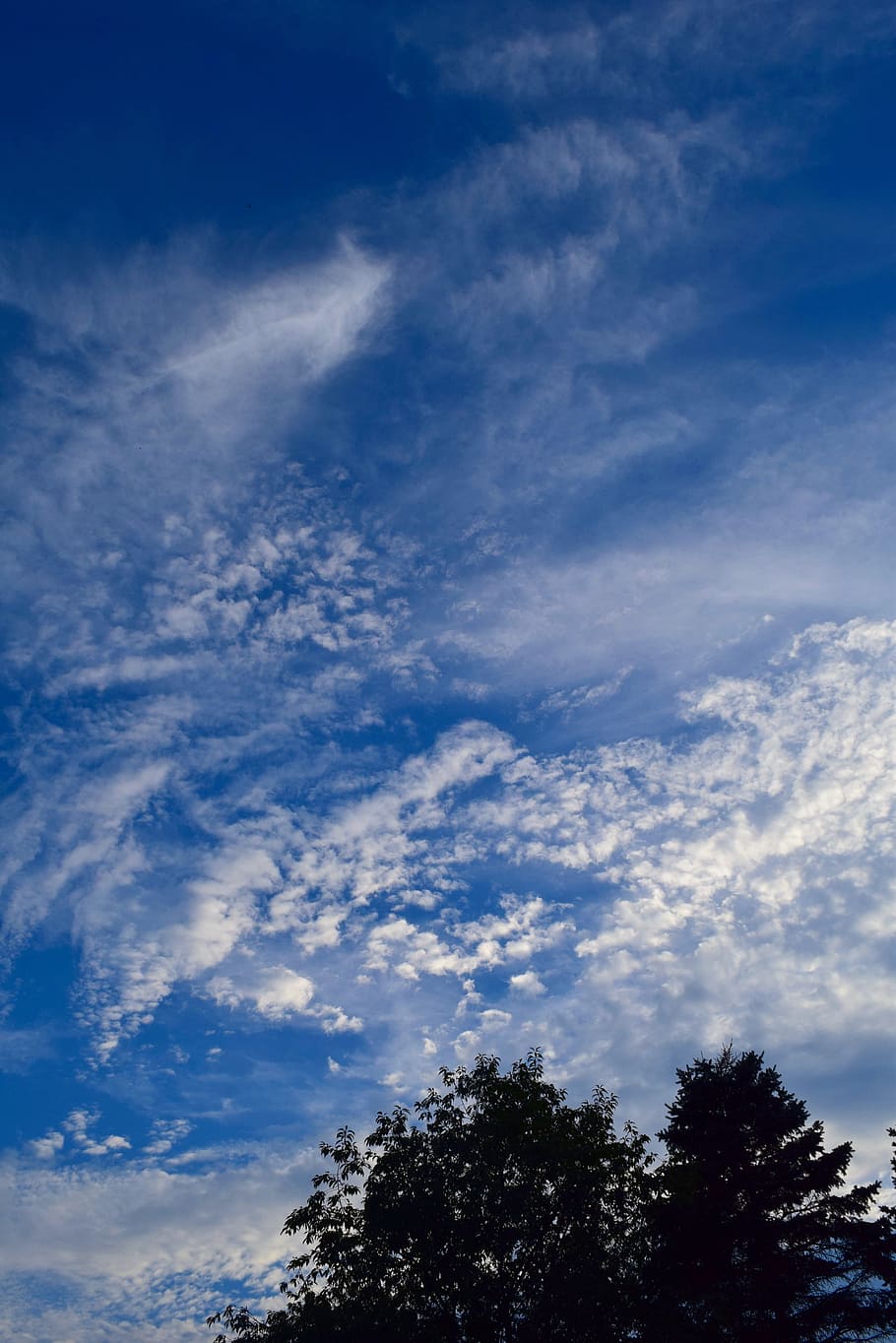 sky, blue, clouds, sunset, evening, trees, silhouette, nature HD wallpaper