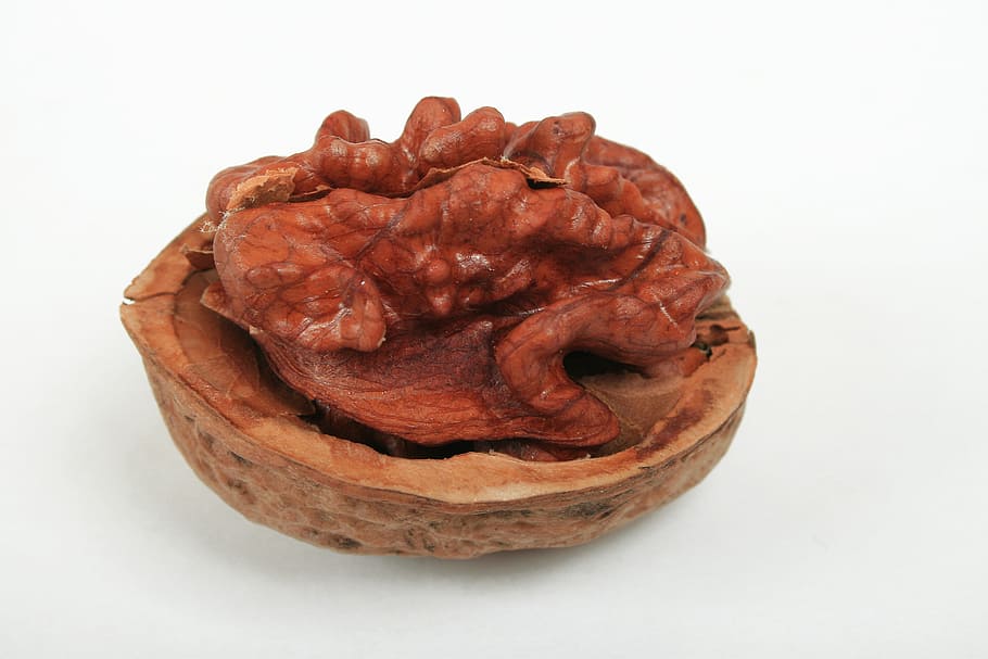 close up photography of walnut, hazelnut, nut shell, food and drink HD wallpaper