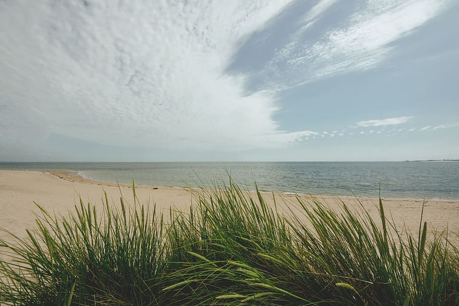 sea, nature, sky, sand, clouds, grass, idyllic, island, ocean HD wallpaper