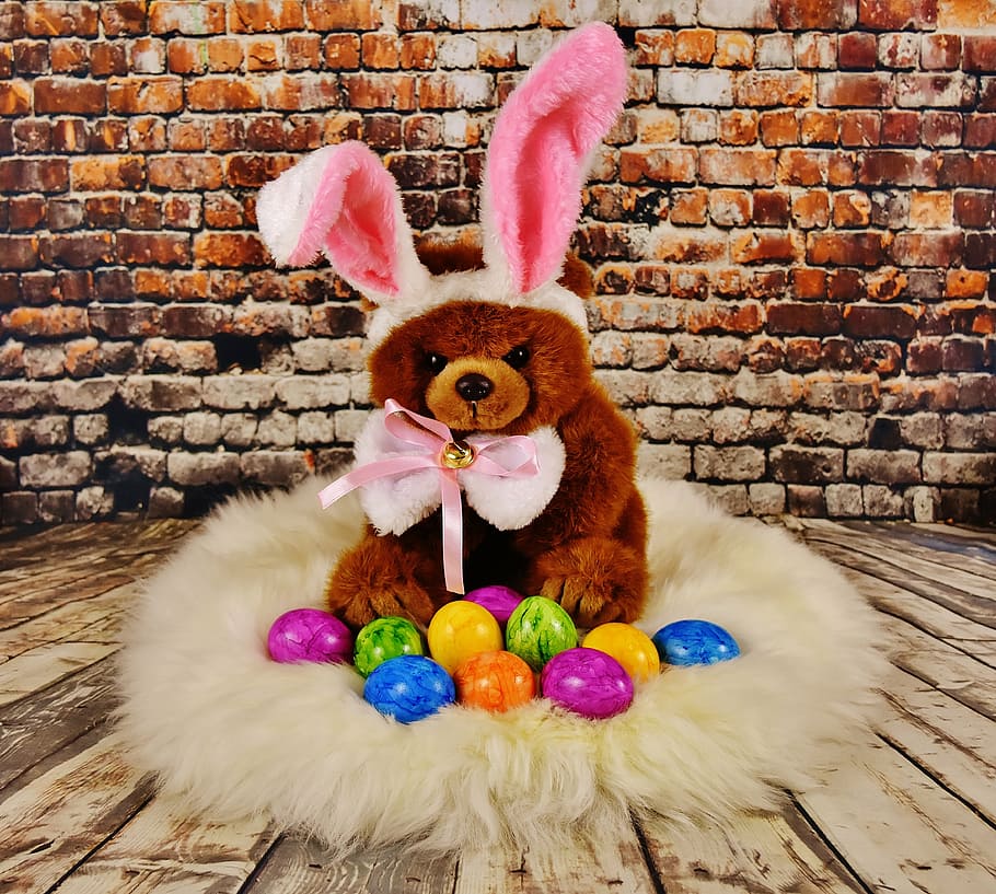 depth photography of bear with easter eggs\, colorful, happy easter HD wallpaper