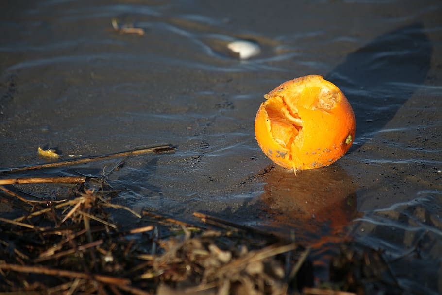 flotsam, orange, evening light, land, selective focus, orange color HD wallpaper