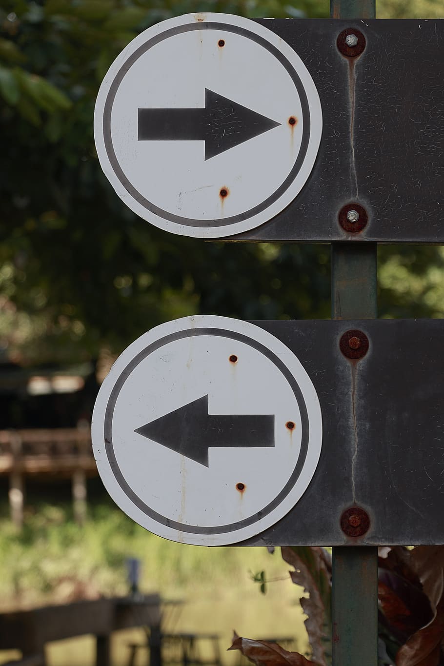 sign, traffic, right, left, turn, road, highway, straight, isolated