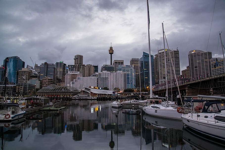 Darling Harbour, Sydney, Australia, Dawn, skyline, reflection, HD wallpaper