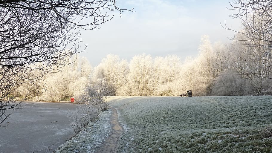 park path, snow, cold, ice, gardens, winter, nature, white HD wallpaper
