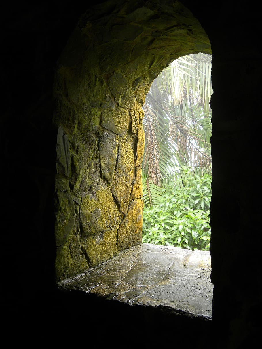 green leafed plant, window, portal, stone, age, moss, puerto rico HD wallpaper