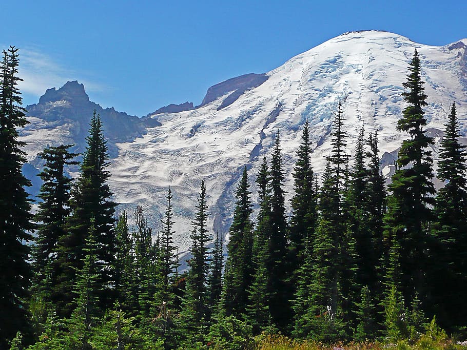 mount, rainier, beautiful, landscape, mountain, washington HD wallpaper