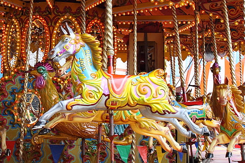 photo of white horse in carousel during day time, amuse, amusement HD wallpaper