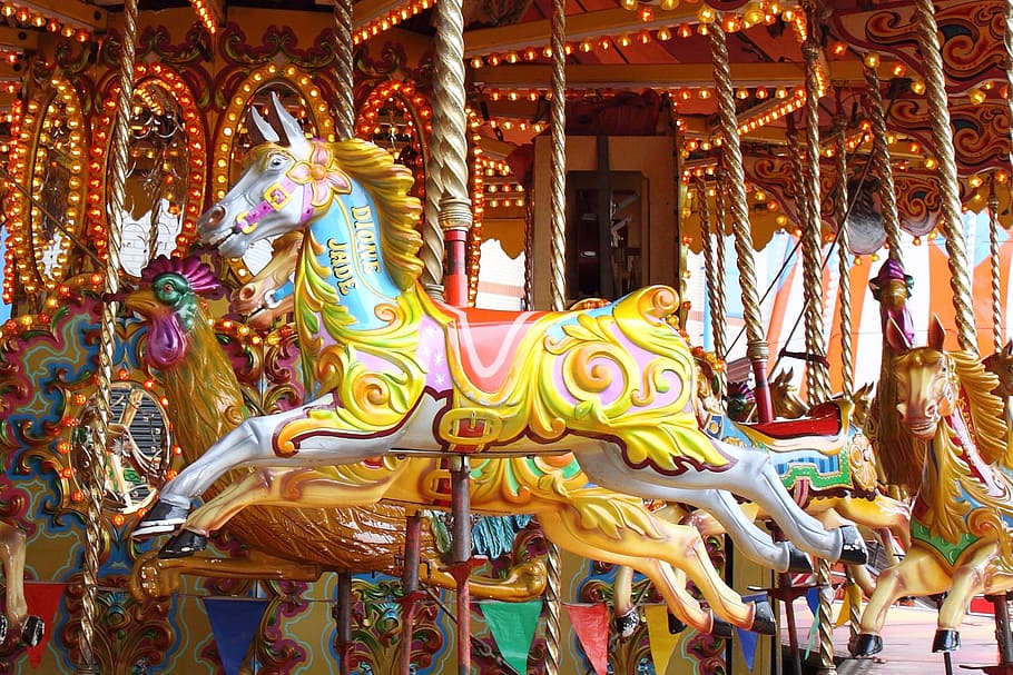 photo of white horse in carousel during day time, amuse, amusement HD wallpaper
