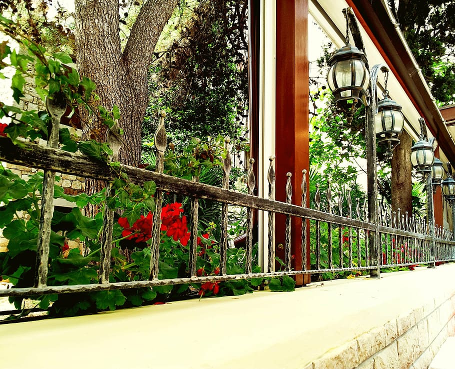 flowers, window, geranium, terrace, street lights, garden, outdoor restaurant HD wallpaper