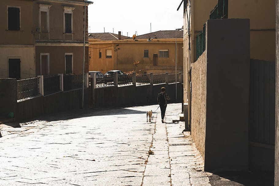 brown and white concrete buildings, person walking with dog near building HD wallpaper