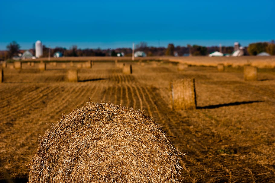 fields, fall, landscape, agriculture, hay, bale, farm, rural scene HD wallpaper