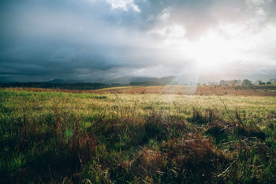 green grass field near mountains in sunset, green grass field under sunrise HD wallpaper