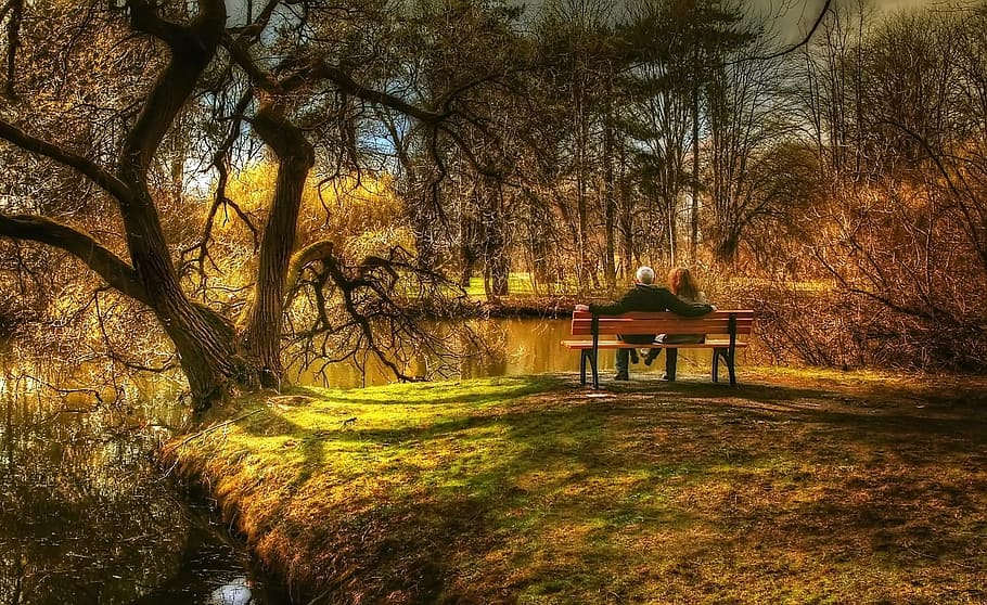 man wearing long-sleeved shirt sitting on bench near trees HD wallpaper