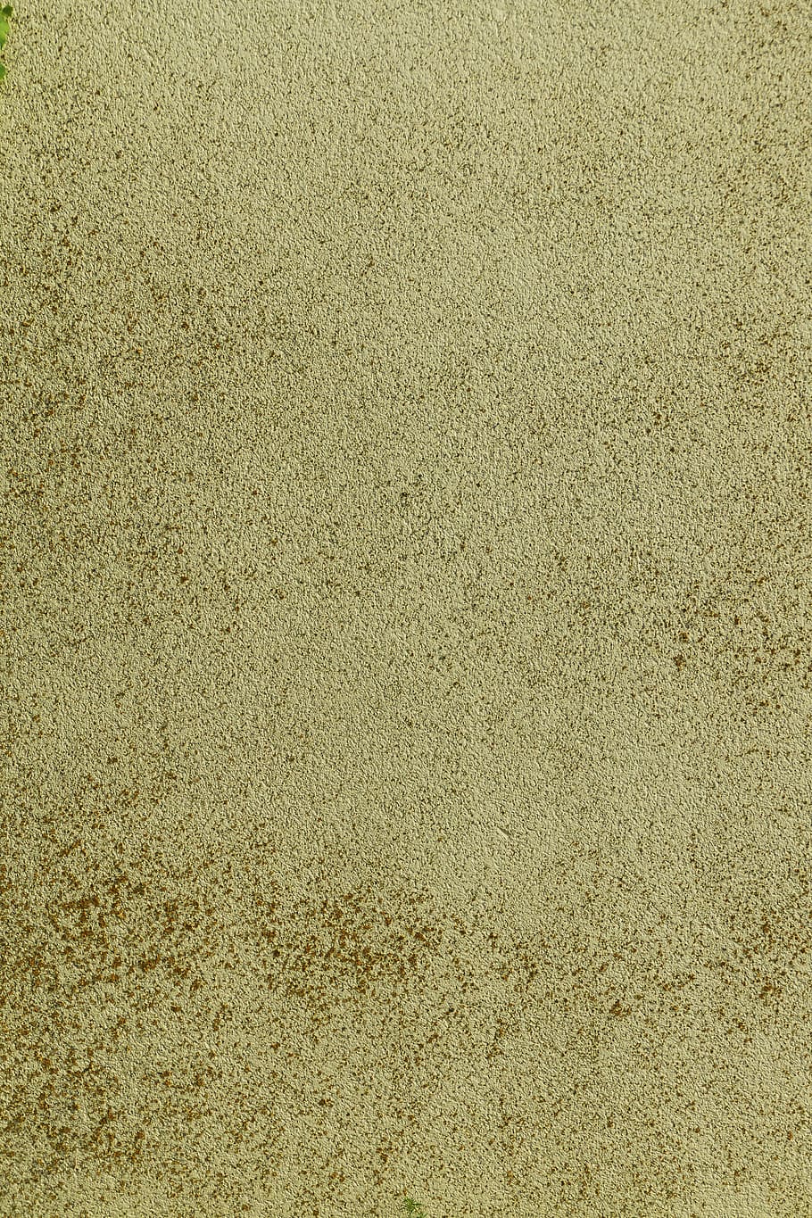 plaster, facade, dirty, structural plaster, weathered, verdigris HD wallpaper