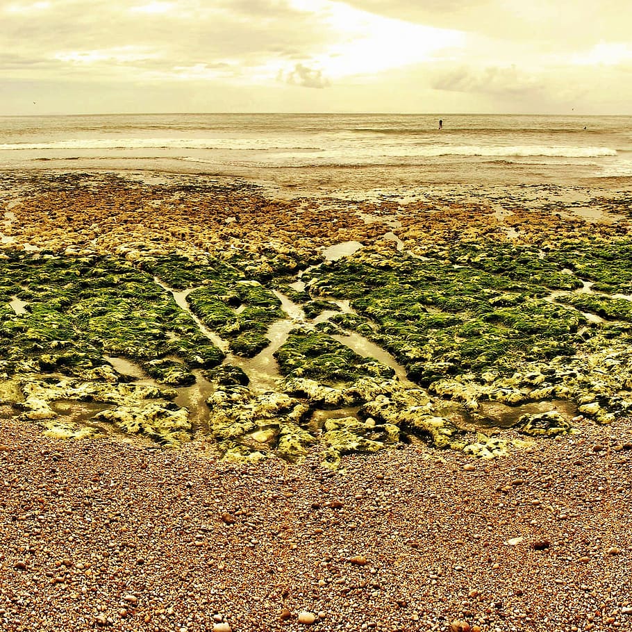 beach, stones, pebble, sea, coast, sky, land, water, beauty in nature HD wallpaper