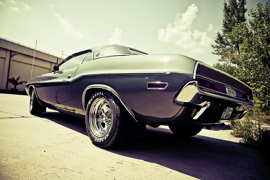 black convertible coupe parked near tree, oldtimer, auto, vintage HD wallpaper