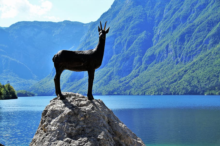 1170x2532px | free download | HD wallpaper: bohinj, lake bohinj, bohinj ...