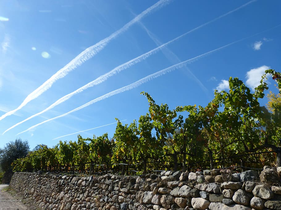 Sky, Vineyard, Wall, Perspective, landscape, wind, chemtrails, HD wallpaper