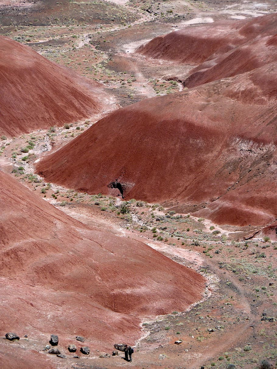 Painted Desert, Petrified Forest, national park, arizona, usa, HD wallpaper