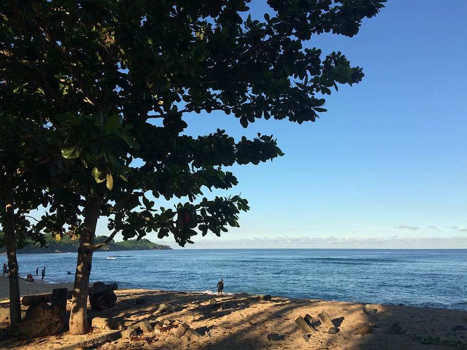 Beach, Tranquility, Trees, Summer, sea, scenics, nature, outdoors HD wallpaper