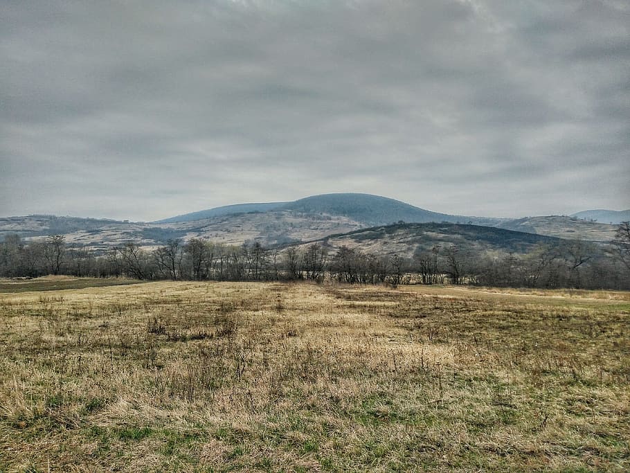 landscape, road, hiking, tree, hungary, mountain, environment HD wallpaper