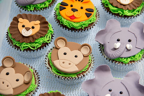 Assorted Animal cupcakes collection, animals, monkey, lion HD wallpaper