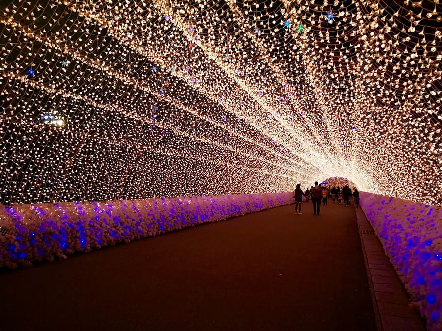 illumination, japan, light, night, celebration, people, group of people HD wallpaper
