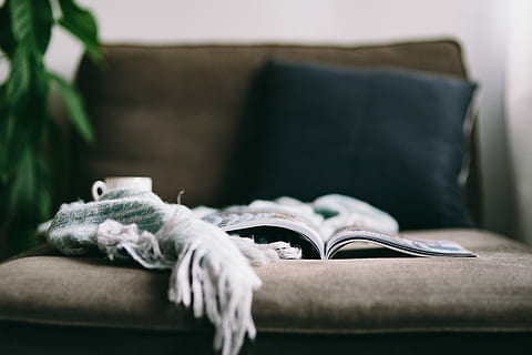 Resting with magazine and cute puppy, interior, relax, relaxing HD wallpaper