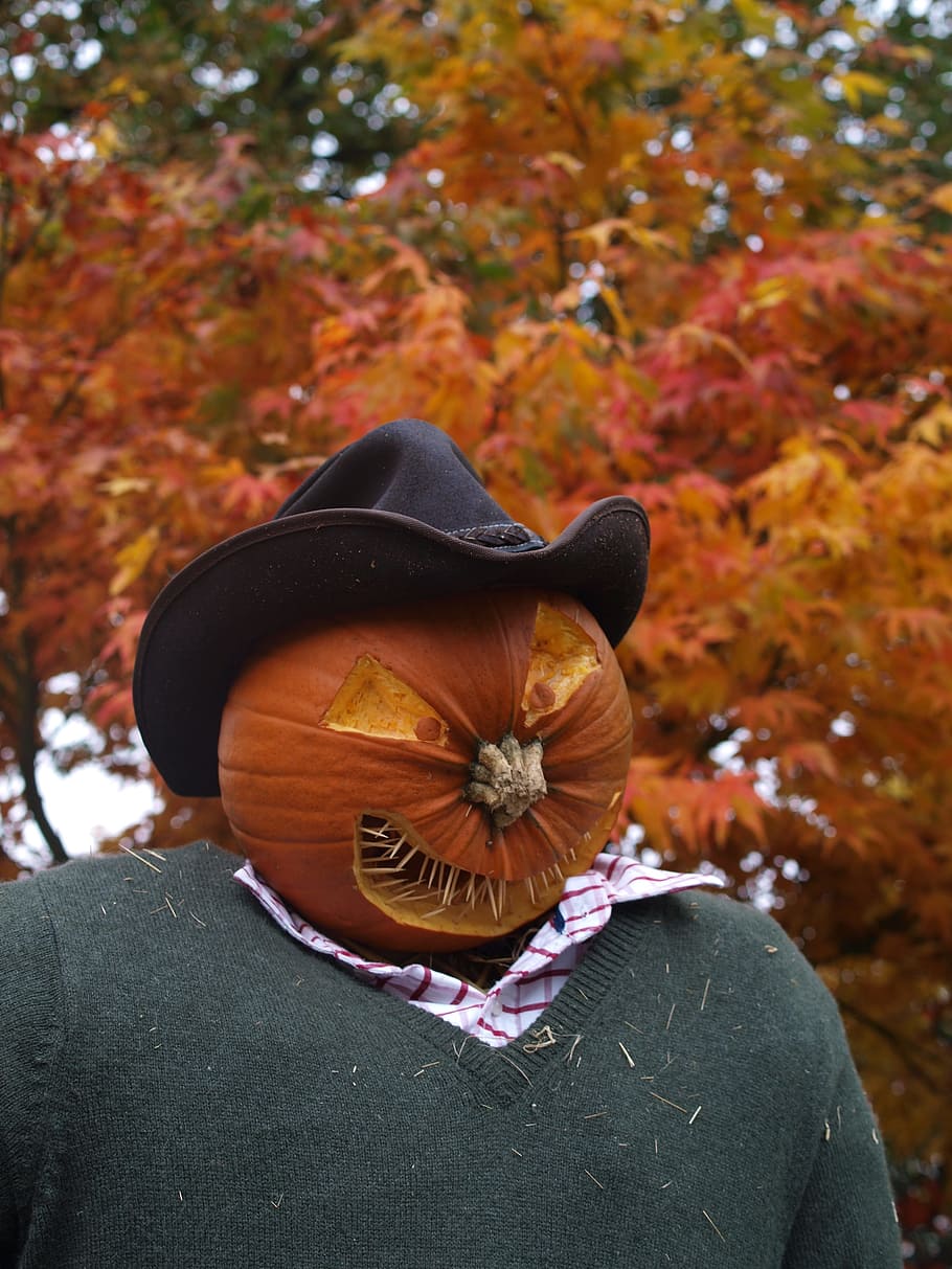 scarecrow, pumpkin, halloween, autumn, plant, orange color HD wallpaper