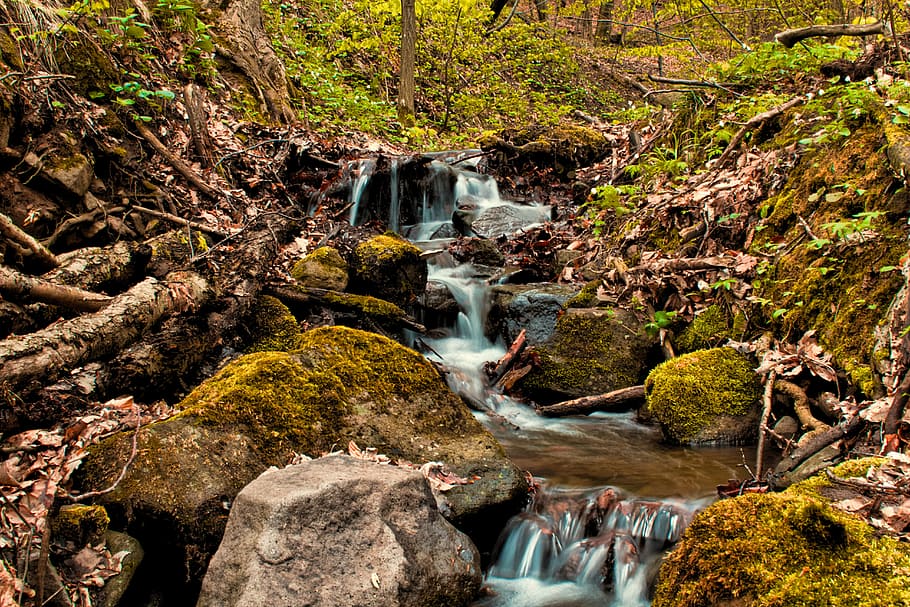 spring, the creek, water, forest, trees, slovakia, green, rocks HD wallpaper
