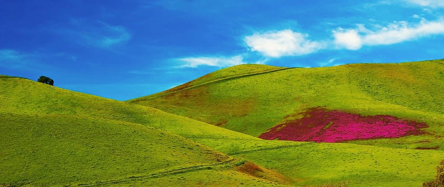green mountains, grass, covered, hills, daytime, fields, blue HD wallpaper
