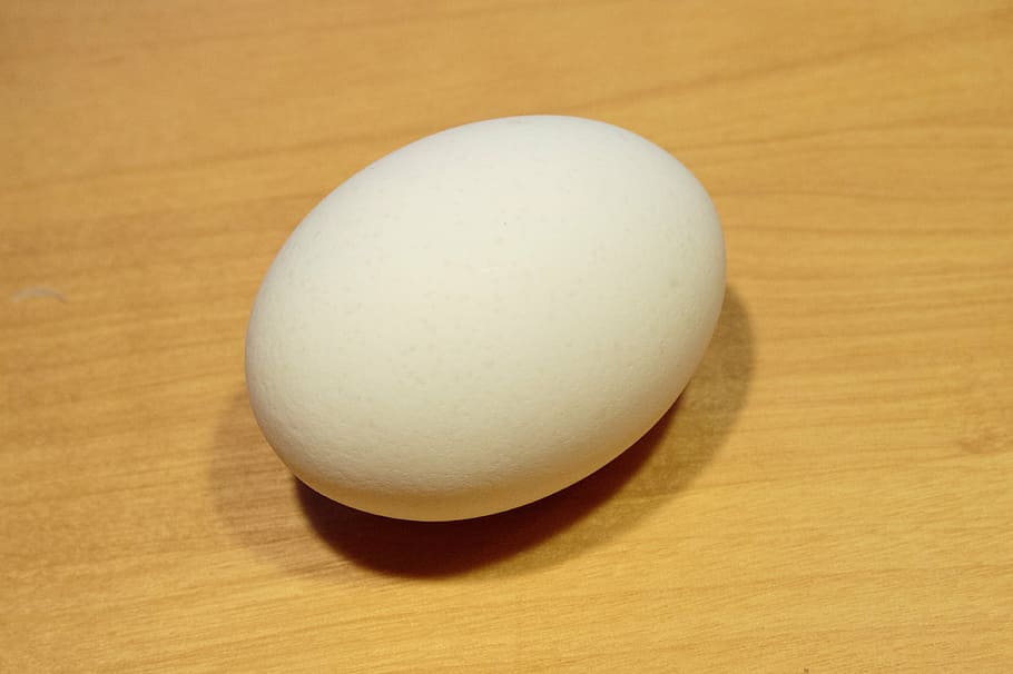 egg, white, wooden, base, food, food and drink, healthy eating HD wallpaper