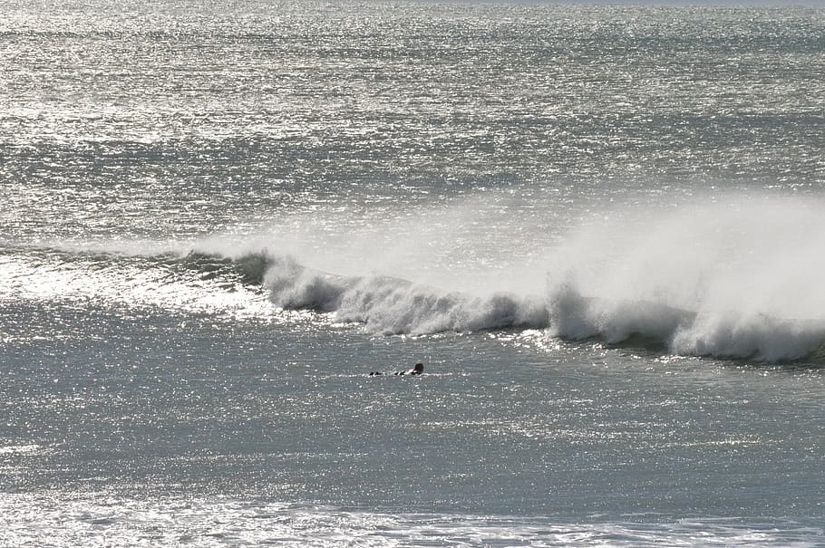 sea, wave, surfing, water, sport, motion, aquatic sport, waterfront HD wallpaper