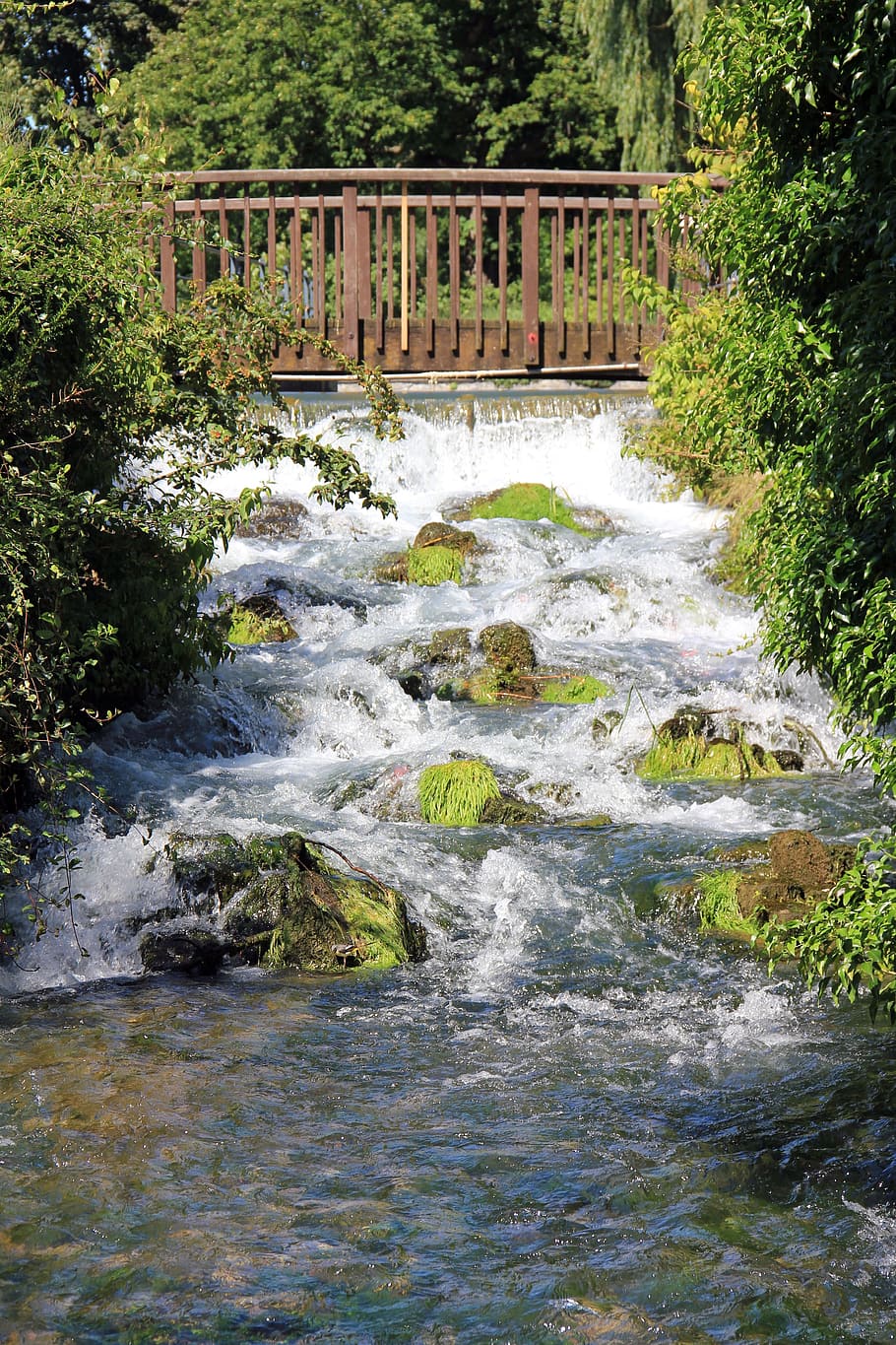 water, bridge, web, river, bach, waterfall, lip, bad lippspringe HD wallpaper