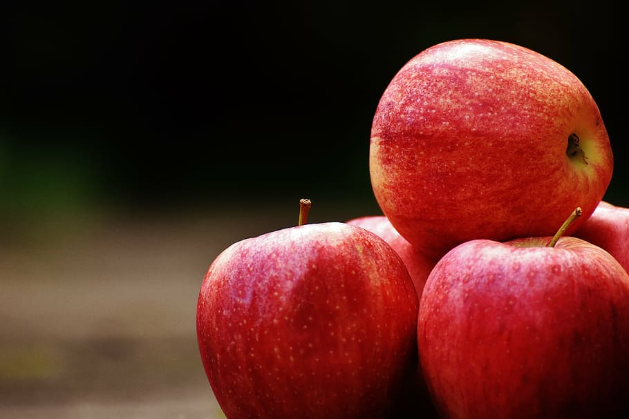 selective focus photography of red apples, delicious, fruit HD wallpaper