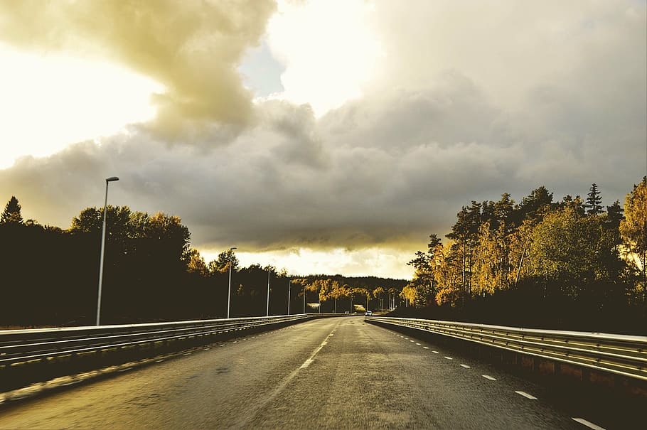asphalt road near tree during golden hour, freeway, lane, posts HD wallpaper