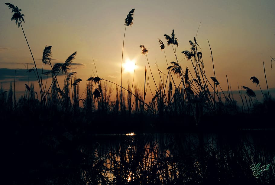 sunset, rays, evening, nature, landscape, lake, sky, water HD wallpaper