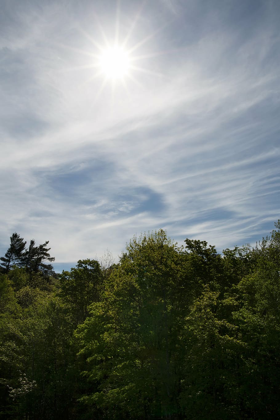 clouds, landscape, nature, sky, summer, sunlight, trees, plant HD wallpaper
