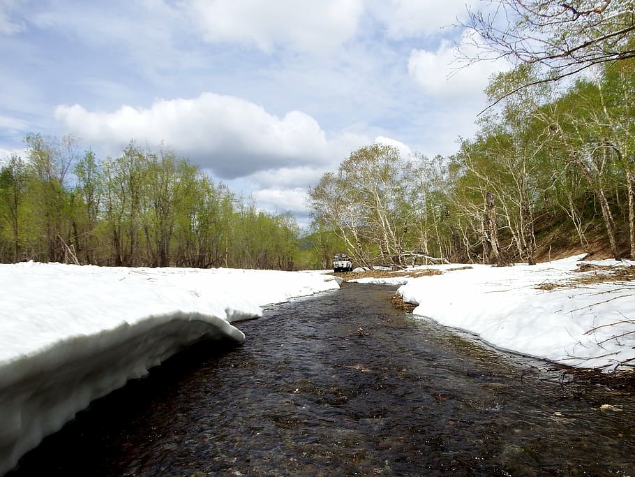 spring, winter, summer, greens, meltwater, creek, snow, snowdrifts HD wallpaper